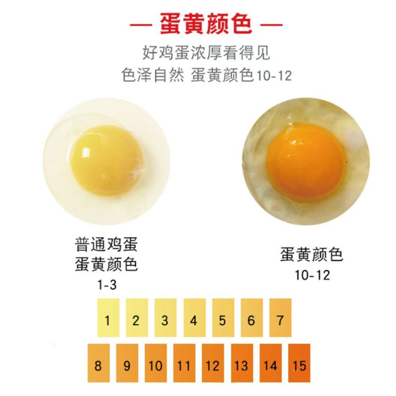 鸡鸭鹅禽类专用辣椒发酵正品厂家直销提高产蛋和蛋品驱虫纯天