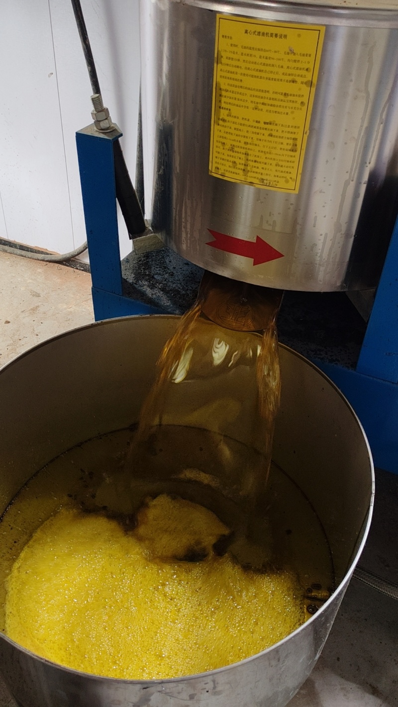 油菜籽湖北油菜籽出油高品质保证可视频观看欢迎下单