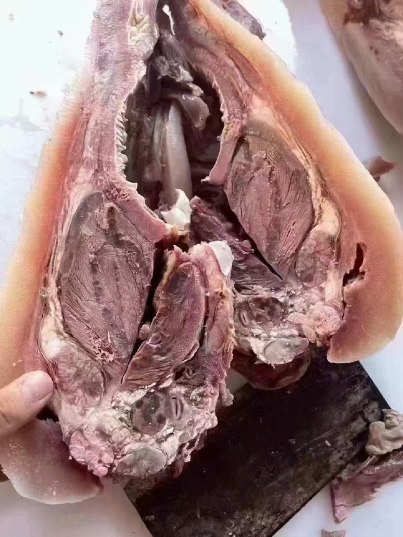 全熟牛头肉，精修去油去淋巴，现煮现发，一件也是批发价
