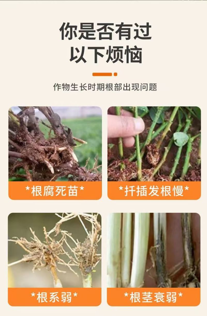 猛生根原液微量元素水溶肥料生根壮根养根修复厂家直销