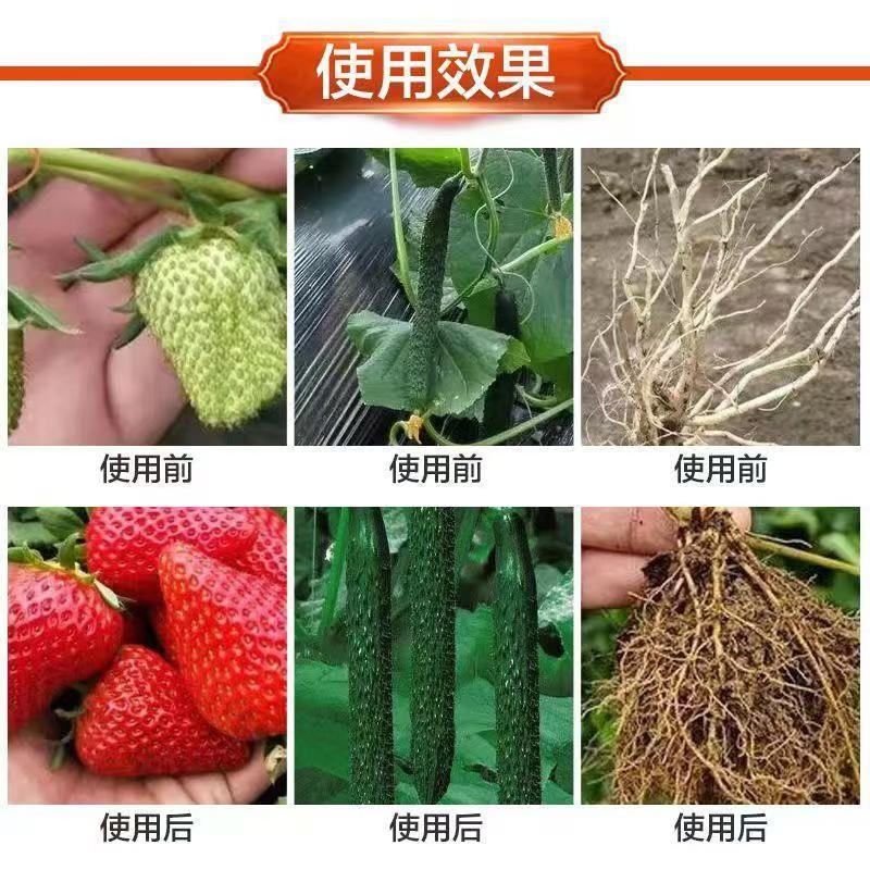 猛生根原液微量元素水溶肥料生根壮根养根修复厂家直销