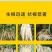猛生根原液微量元素水溶肥料生根壮根养根修复厂家直销