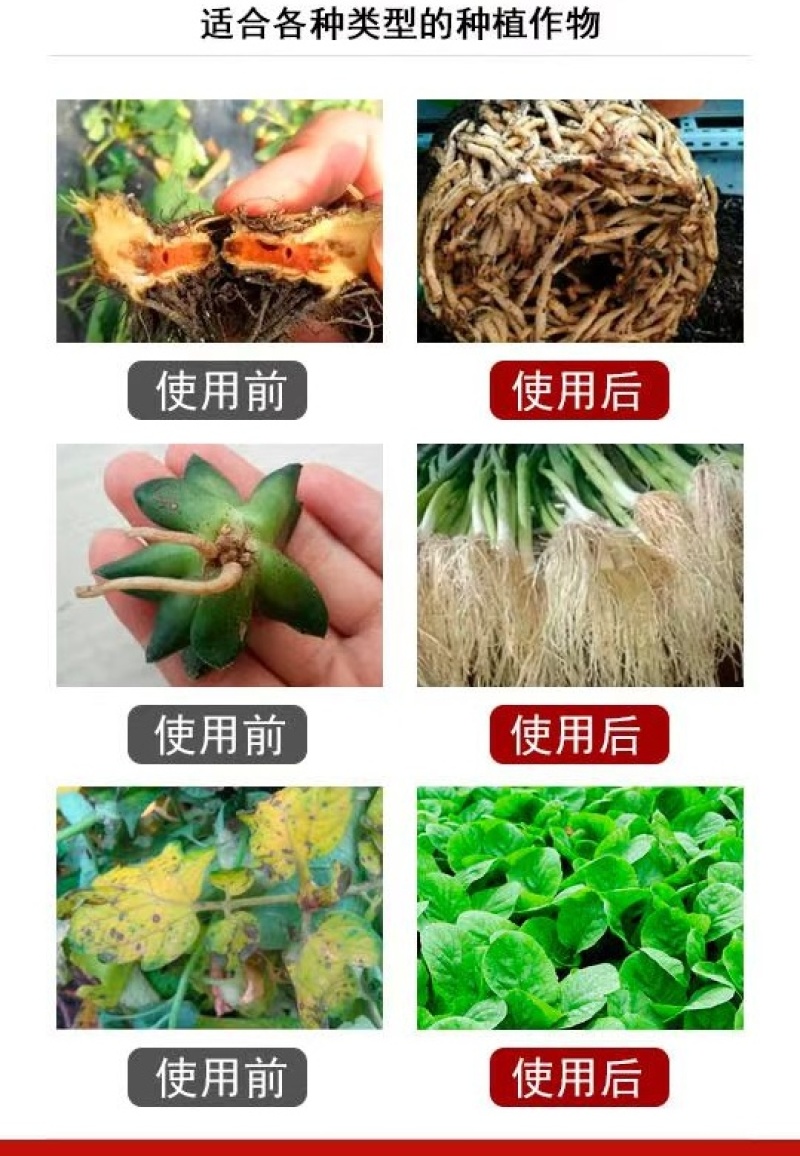 猛生根原液微量元素水溶肥料生根壮根养根修复厂家直销