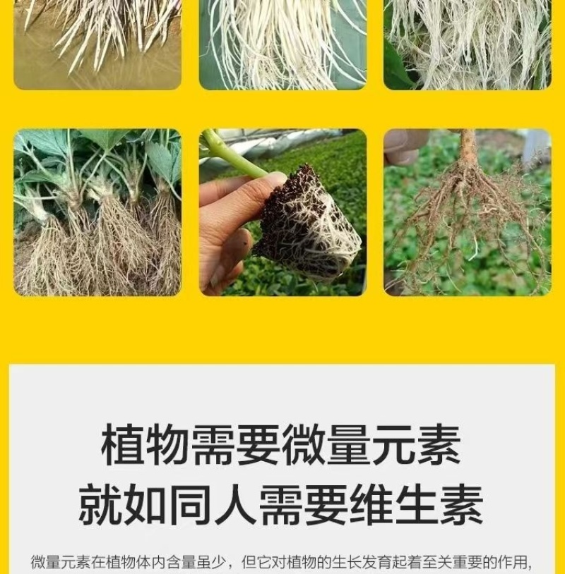 猛生根原液微量元素水溶肥料生根壮根养根修复厂家直销