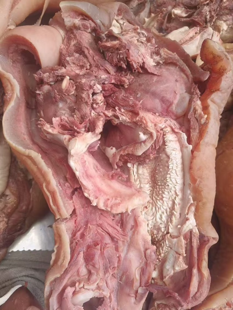 全熟牛头肉，精修去油去淋巴，现煮现发，一件也是批发价