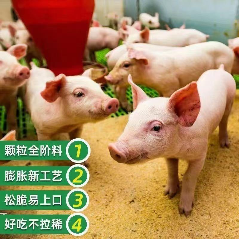 颗粒料厂家直销80斤袋装猪饲料喂猪中猪大猪成猪快速增肥长