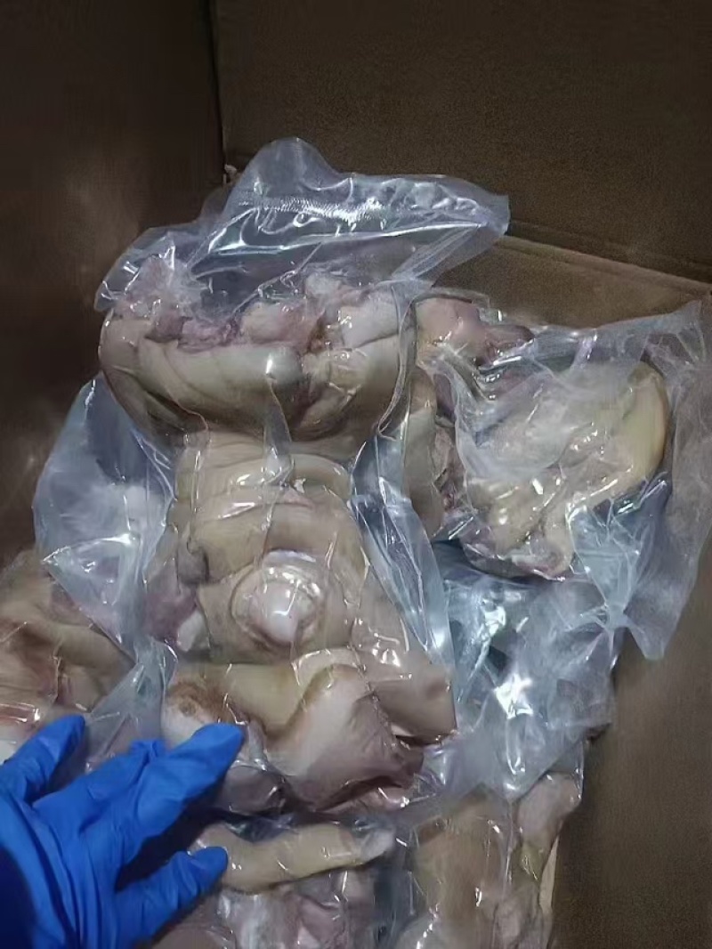 清真全熟去骨牛蹄筋，清水煮，现煮现发，一件也是批发价