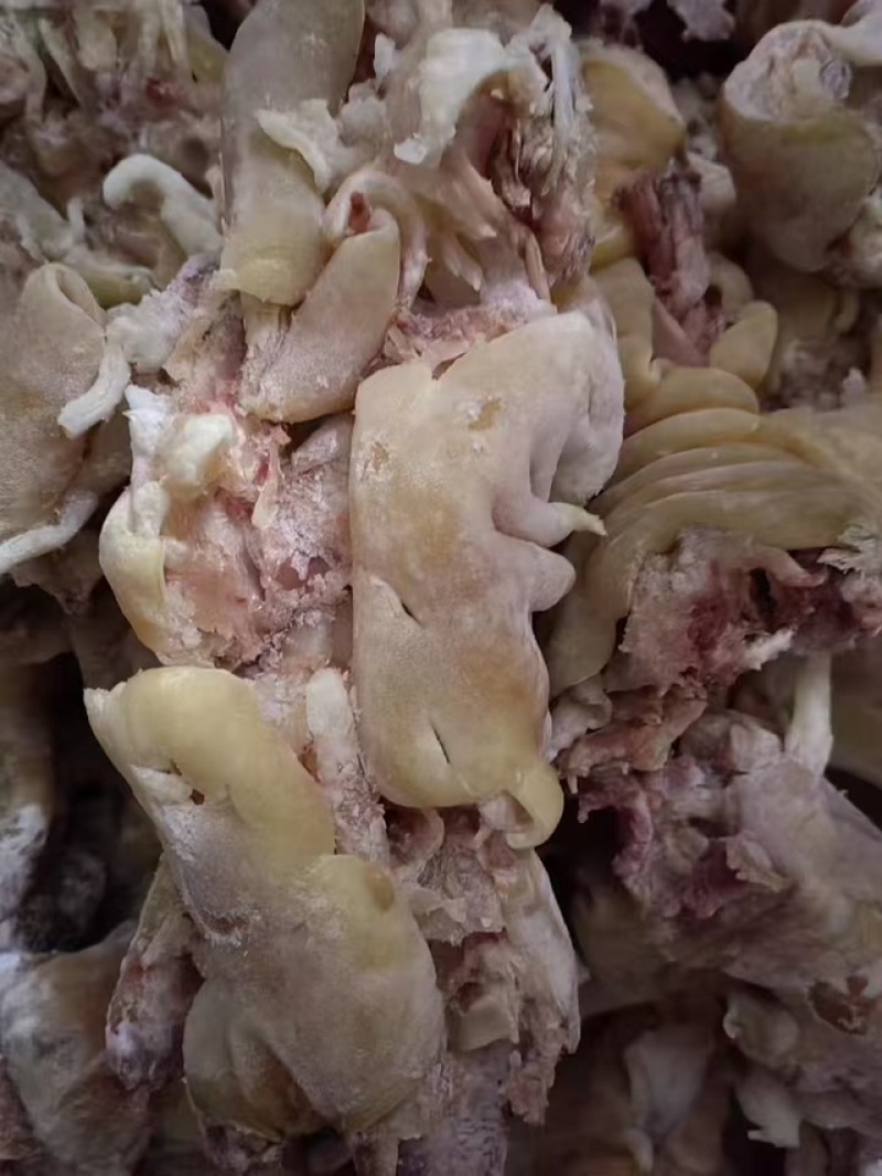 清真全熟去骨牛蹄筋，清水煮，现煮现发，一件也是批发价