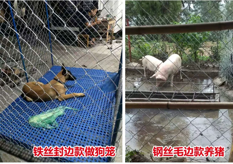 镀锌铁丝网围栏防护网勾花网钢丝网养殖羊牛猪栏网果园栅栏护