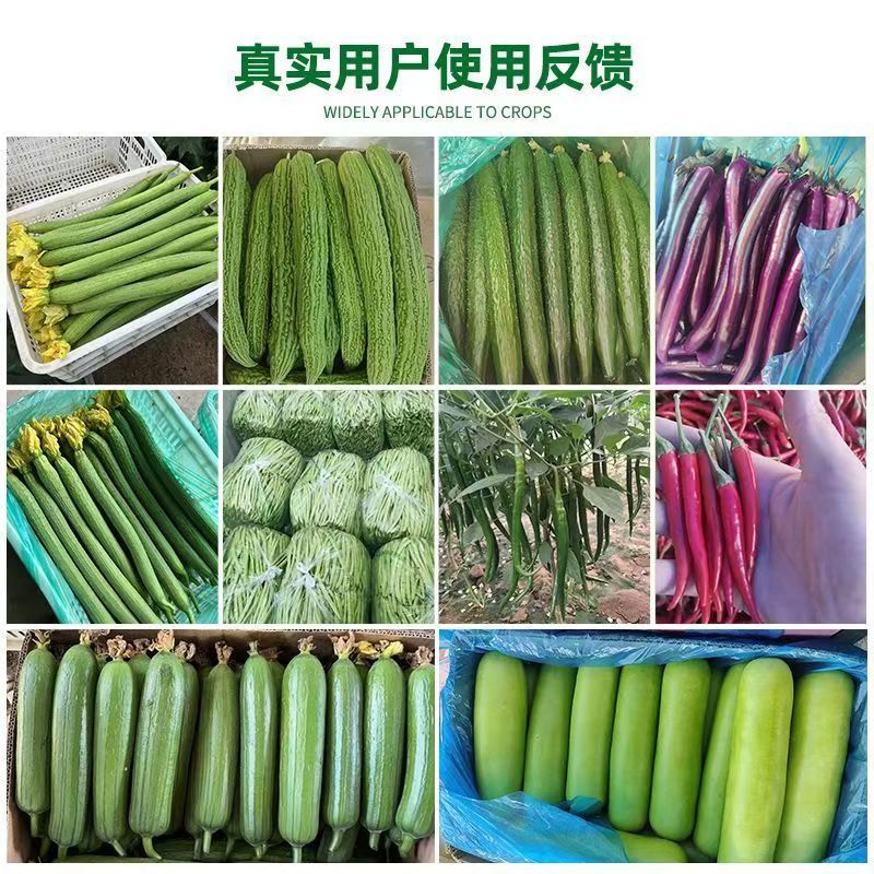 膨大拉直拉长素微量元素水溶肥叶面肥膨果拉直肥料