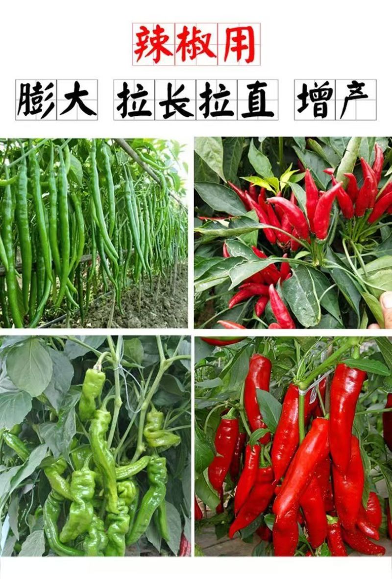 膨大拉直拉长素微量元素水溶肥叶面肥膨果拉直肥料