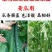 膨大拉直拉长素微量元素水溶肥叶面肥膨果拉直肥料