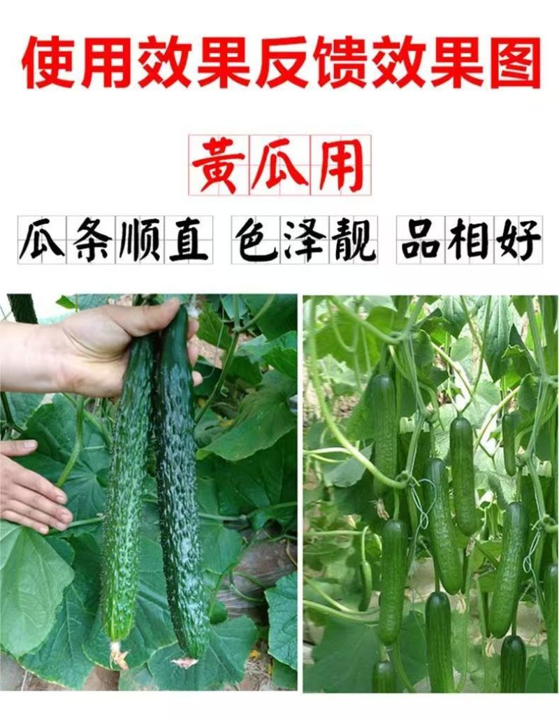膨大拉直拉长素微量元素水溶肥叶面肥膨果拉直肥料
