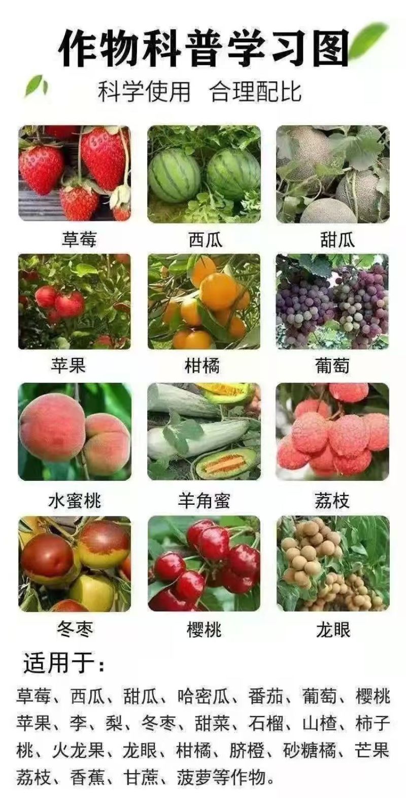 膨果着色增甜剂瓜果蔬菜增甜降酸转色肥料包邮