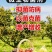 园立清微生物菌剂抑虫杀菌肥料防治真菌细菌病菌虫卵包邮