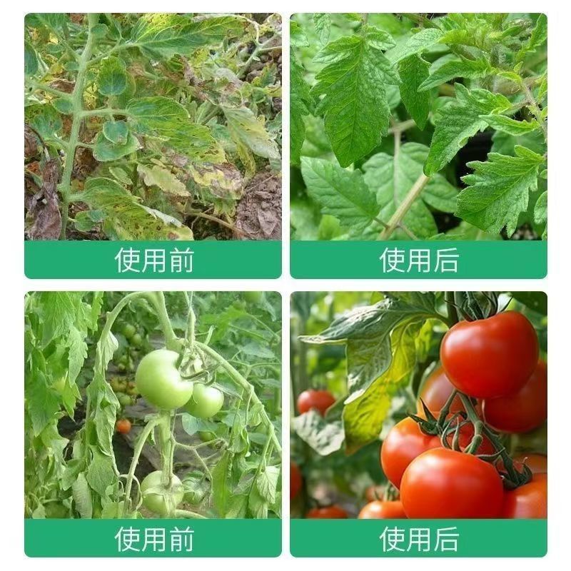 园立清微生物菌剂抑虫杀菌肥料防治真菌细菌病菌虫卵包邮
