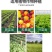 园立清微生物菌剂抑虫杀菌肥料防治真菌细菌病菌虫卵包邮