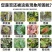 园立清微生物菌剂抑虫杀菌肥料防治真菌细菌病菌虫卵包邮