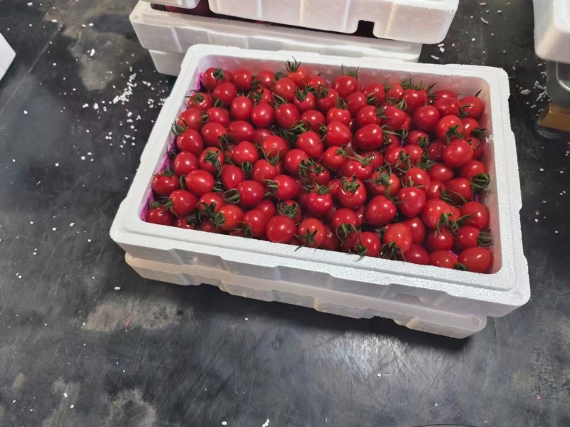 山东千禧大量有货，大量供应精品