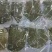 冻品甲鱼外塘甲鱼鲜活现杀去皮去甲去内脏量大价优