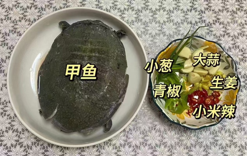 冻品甲鱼外塘甲鱼鲜活现杀去皮去甲去内脏量大价优