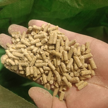 鸡鸭鹅牛羊蒸汽熟化育肥全价料颗粒，质量保证，欢迎咨询