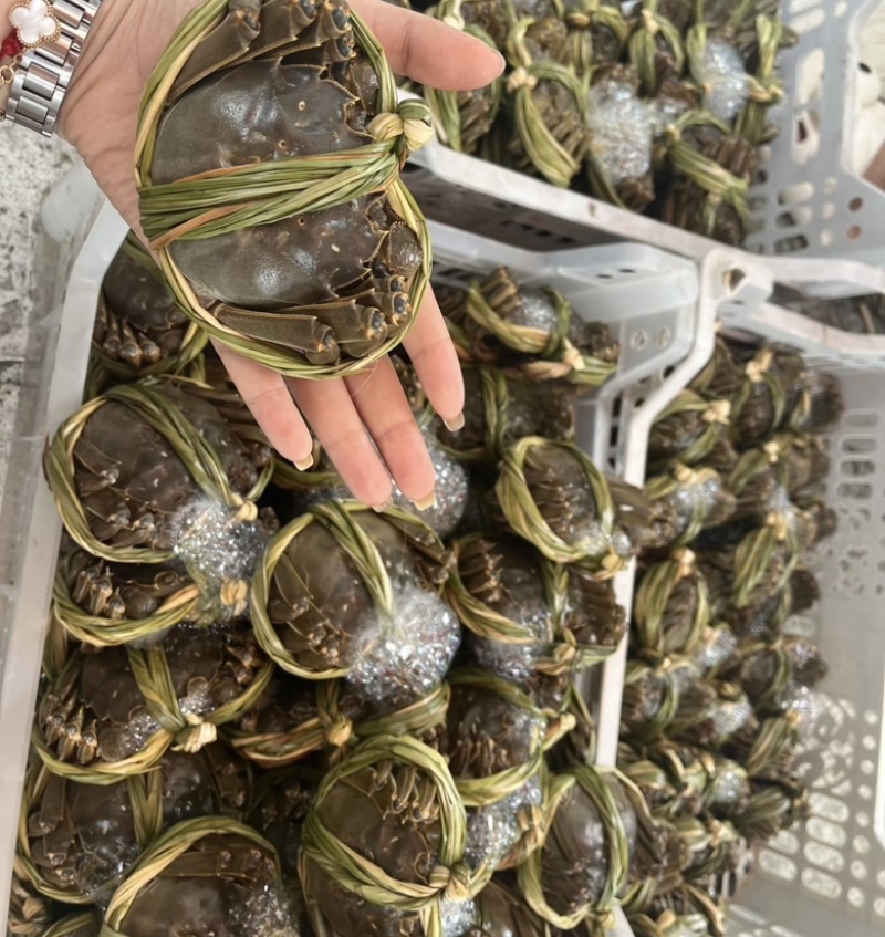 （大闸蟹）蟹农一手货源品质保证，诚信经营欢迎来电！
