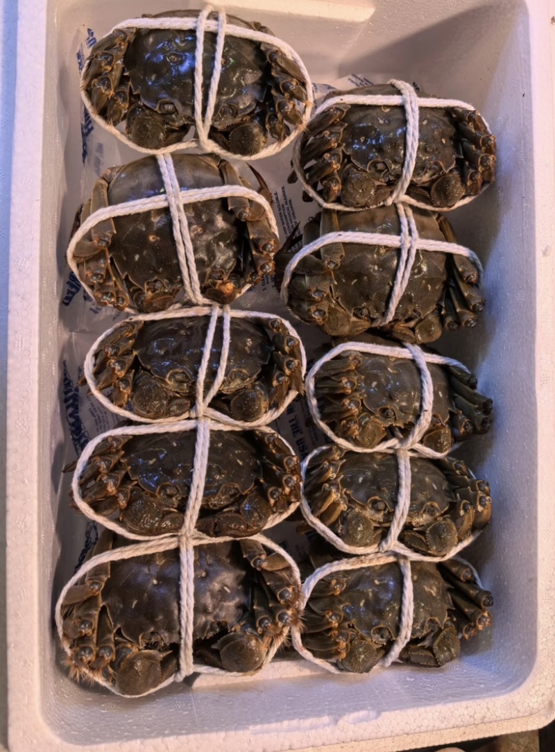 （大闸蟹）蟹农一手货源品质保证，诚信经营欢迎来电！