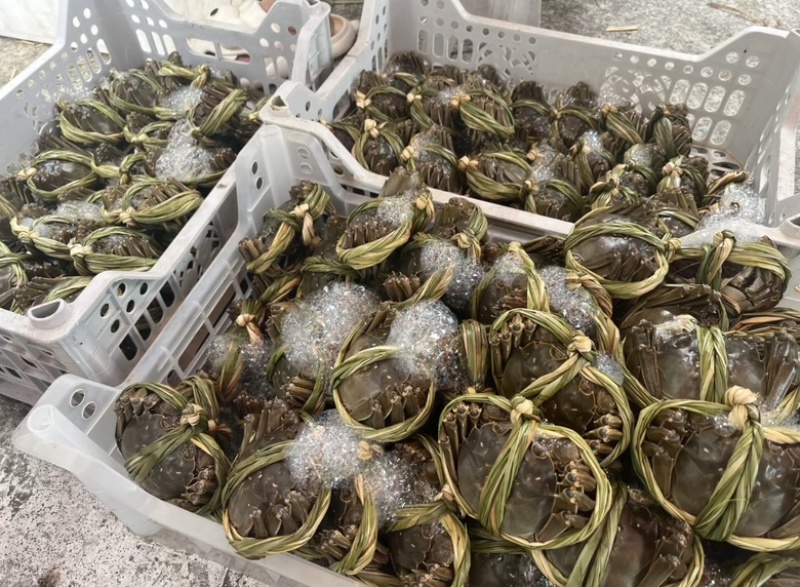 大闸蟹