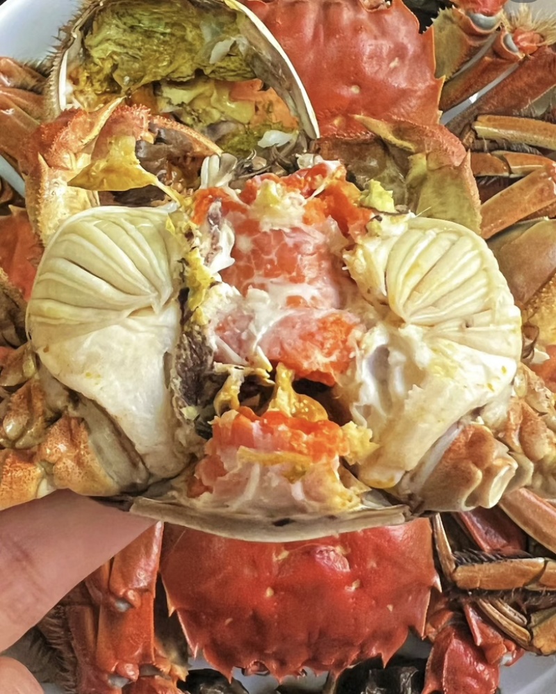 大闸蟹