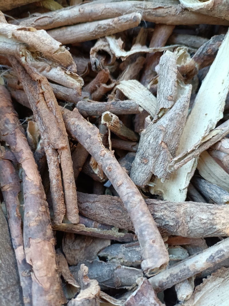 五加皮/精选好货/批发兼零售，量大可商议，全国包邮