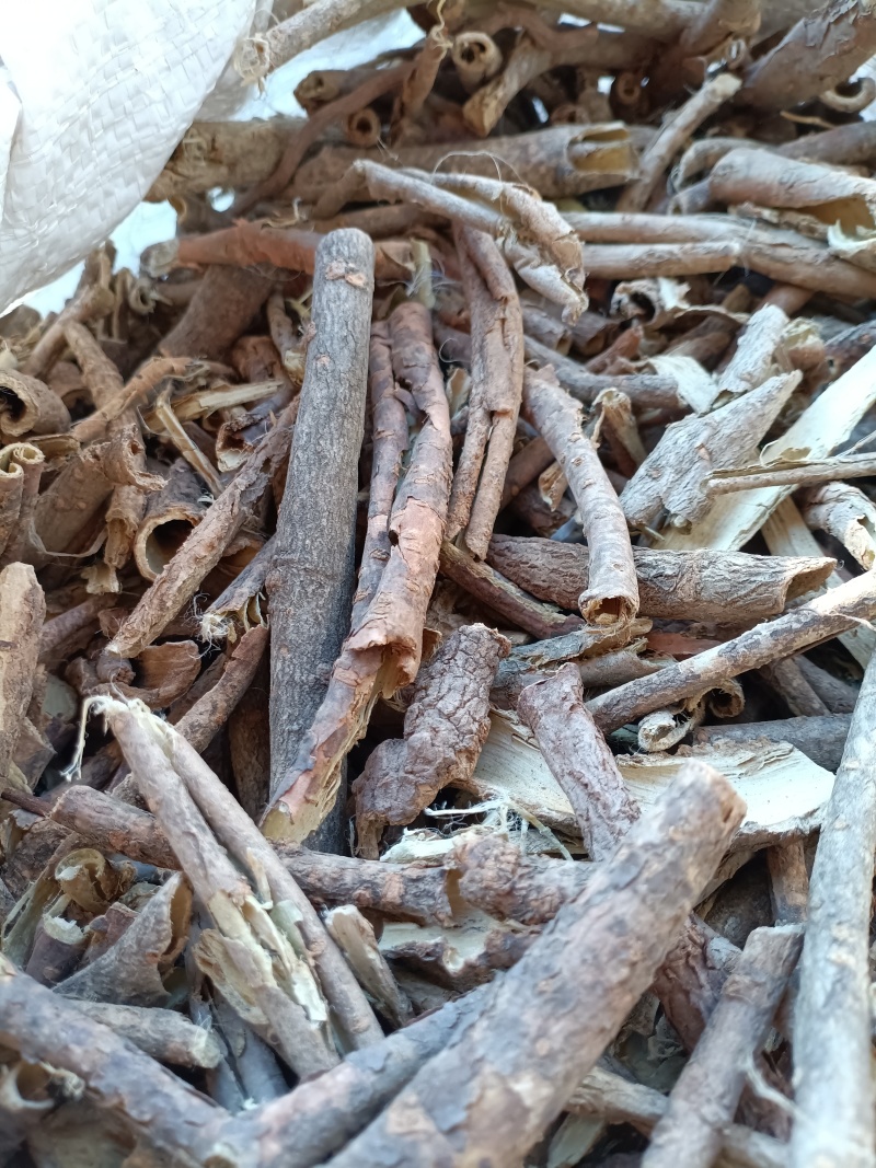 五加皮/精选好货/批发兼零售，量大可商议，全国包邮