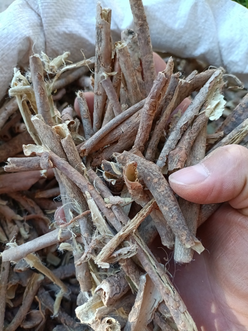 五加皮/精选好货/批发兼零售，量大可商议，全国包邮
