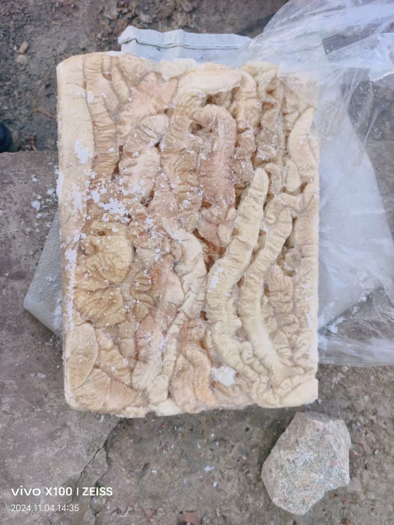 纯干预煮大肠