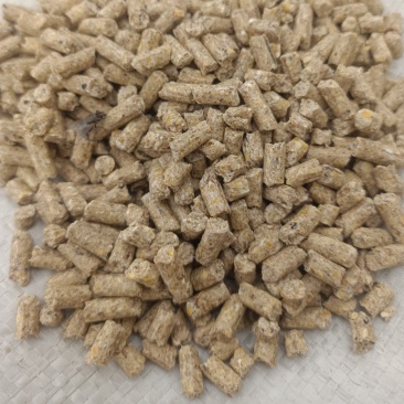 鸡鸭鹅牛羊蒸汽熟化育肥颗粒，保质量，欢迎咨询合作