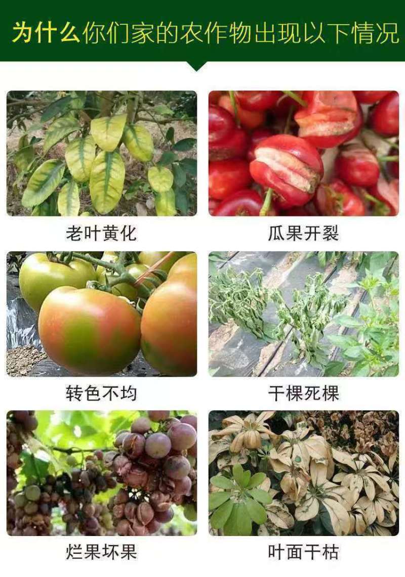 帮地宝厂家直销中微量元素水溶肥料全面补充钙镁硼铁锌