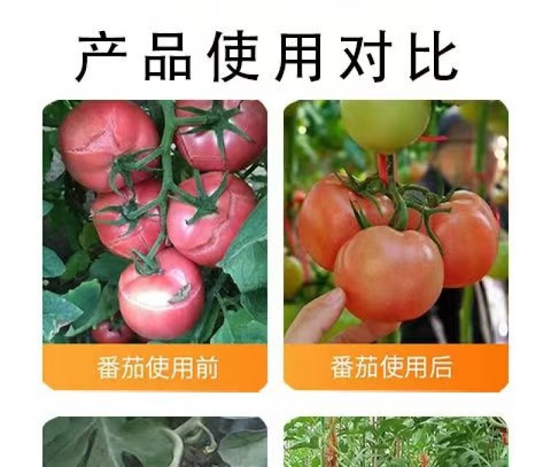 帮地宝厂家直销中微量元素水溶肥料全面补充钙镁硼铁锌