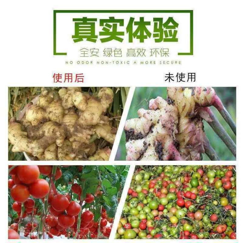 帮地宝厂家直销中微量元素水溶肥料全面补充钙镁硼铁锌