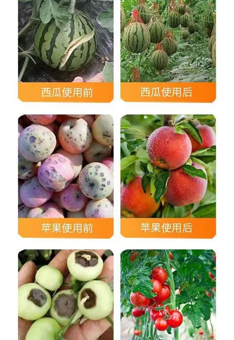 帮地宝厂家直销中微量元素水溶肥料全面补充钙镁硼铁锌