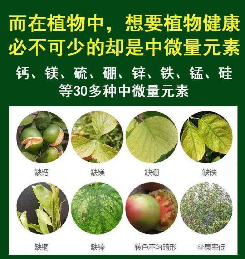 帮地宝厂家直销中微量元素水溶肥料全面补充钙镁硼铁锌