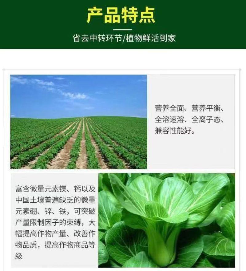 帮地宝厂家直销中微量元素水溶肥料全面补充钙镁硼铁锌