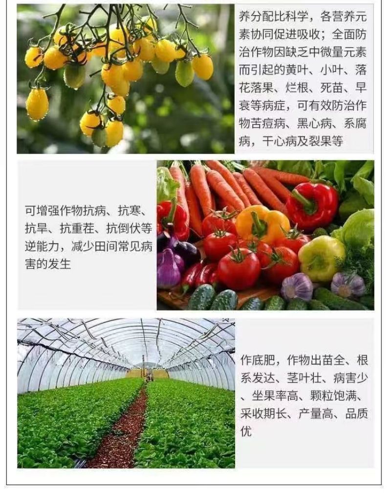 帮地宝厂家直销中微量元素水溶肥料全面补充钙镁硼铁锌
