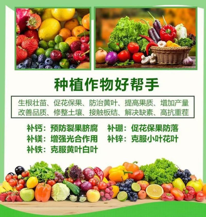 帮地宝厂家直销中微量元素水溶肥料全面补充钙镁硼铁锌