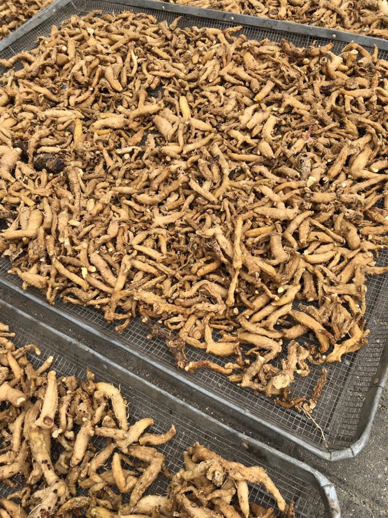 黄精干货，干黄精，姜型无硫，鸡头黄精，多花黄精