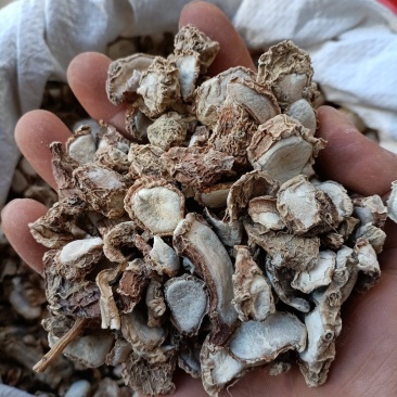 阳春山奈/沙姜/足干无硫/精选好货/批发兼零售，全国包邮