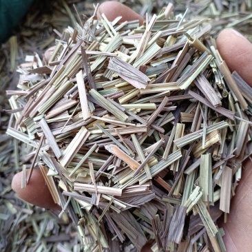 香茅草/柠檬草/精选好货/批发兼零售，量大可商议，包邮
