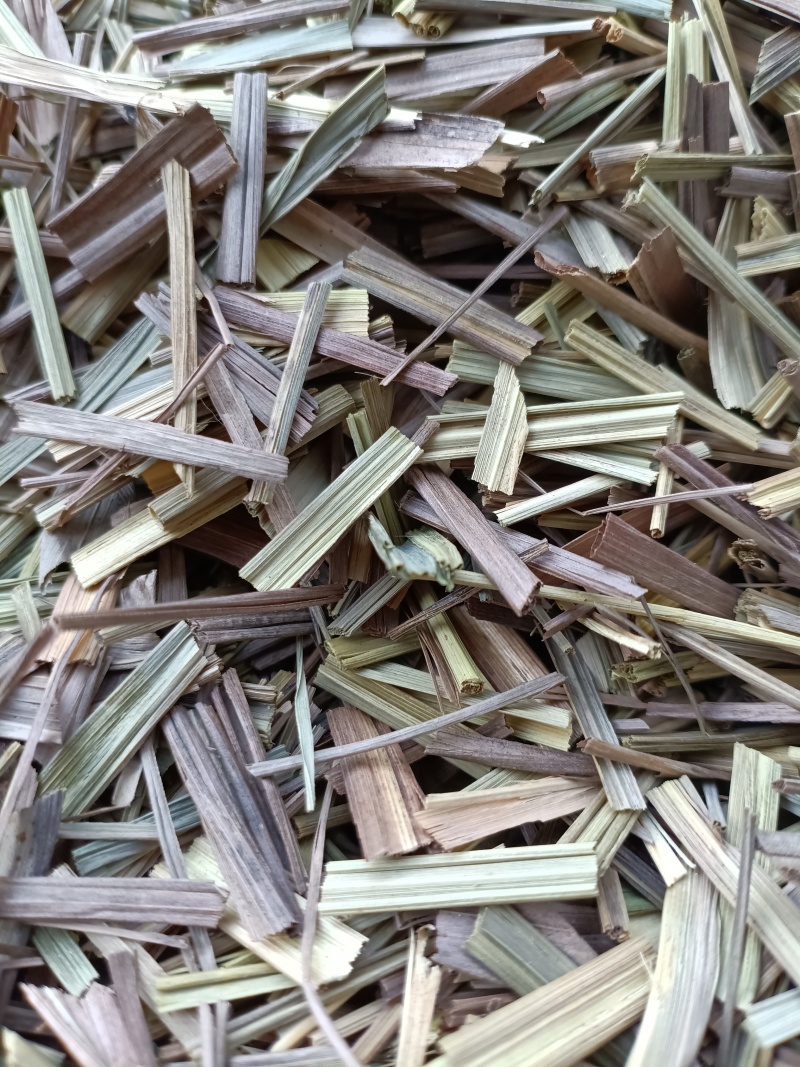 香茅草/柠檬草/精选好货/批发兼零售，量大可商议，包邮