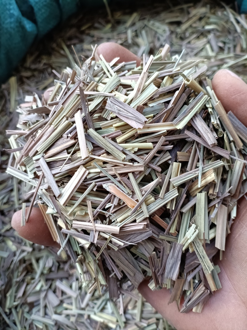 香茅草/柠檬草/精选好货/批发兼零售，量大可商议，包邮