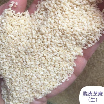 芝麻/虎爷白芝麻/精选好货/批发兼零售，量大可商议，包邮