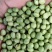 普通双青豆、可以做青豆面、青豆粉、品质保证